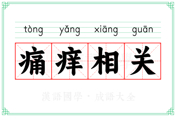 痛痒相关 痛痒相关