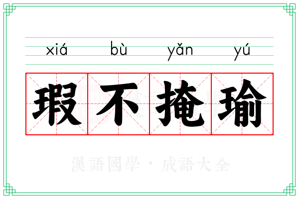 瑕不掩瑜