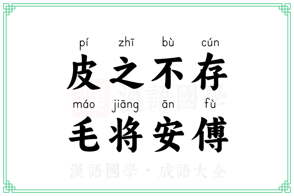 皮之不存,毛将安傅 皮之不存,毛将安傅