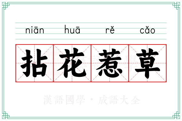 拈花惹草 拈花惹草