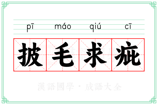披毛求疵 披毛求疵