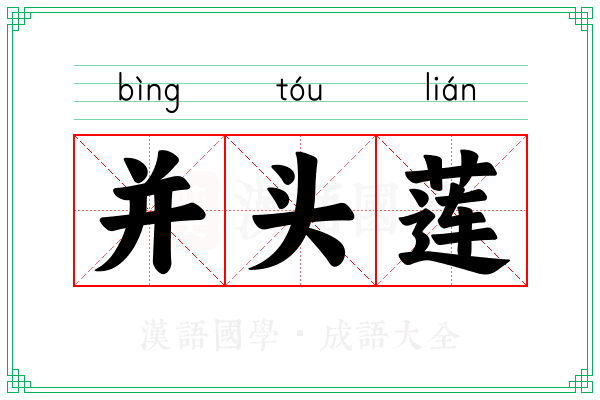 并头莲 并头莲