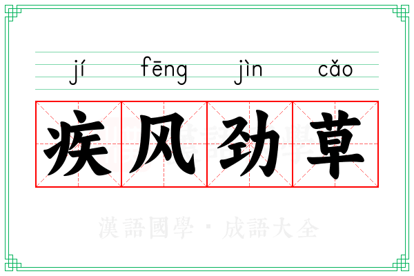 疾风劲草 疾风劲草