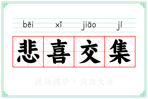 悲喜交集 悲喜交集