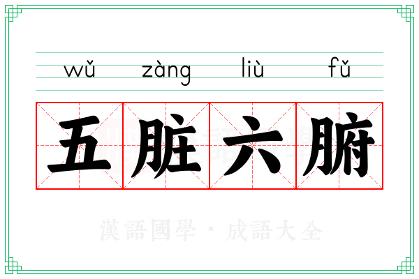 五脏六腑 五脏六腑