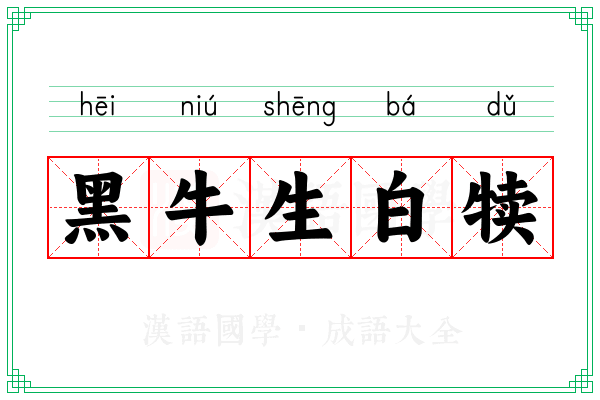 黑牛生白犊