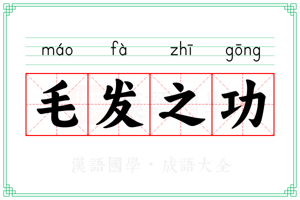 毛发之功 毛发之功