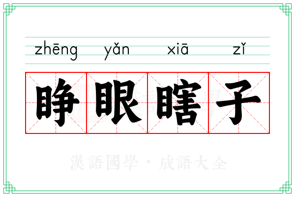 睁眼瞎子 睁眼瞎子