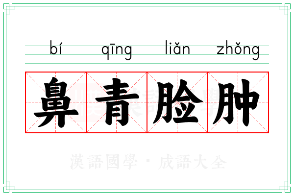 鼻青脸肿 鼻青脸肿