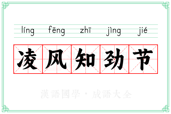 凌风知劲节
