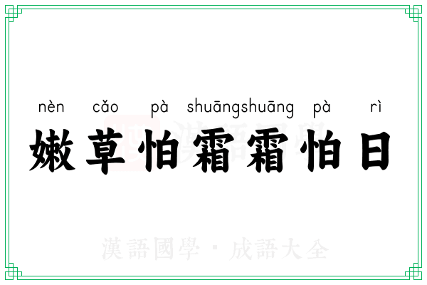 嫩草怕霜霜怕日