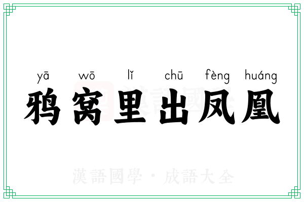 鸦窝里出凤凰