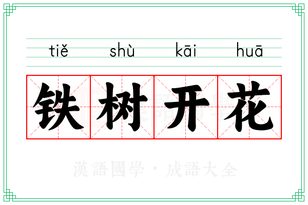 铁树开花 铁树开花