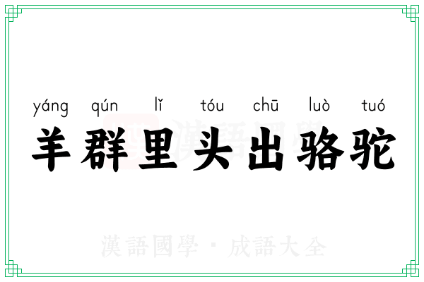 羊群里头出骆驼