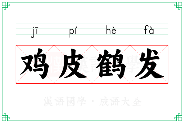 鸡皮鹤发
