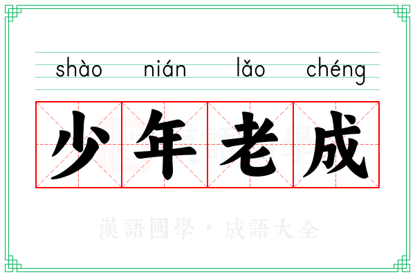 少年老成 少年老成