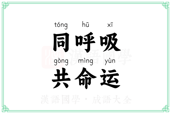 同呼吸，共命运