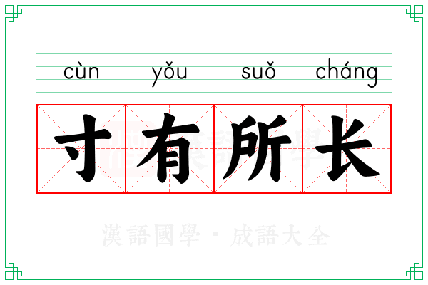寸有所长