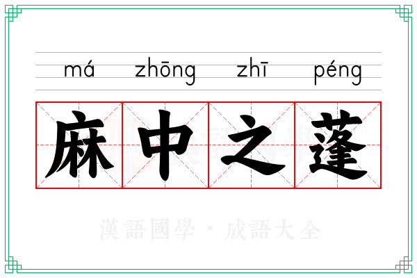 麻中之蓬