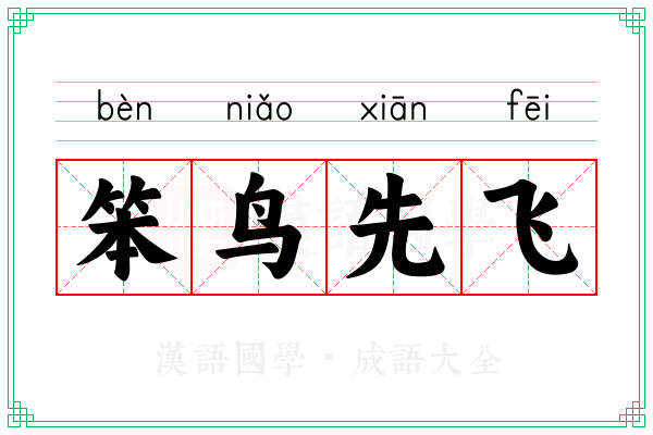 笨鸟先飞 笨鸟先飞