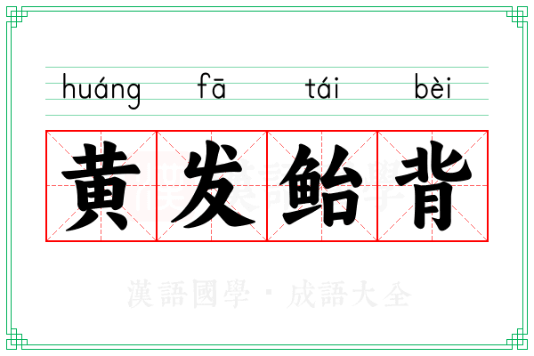 黄发鲐背 黄发鲐背