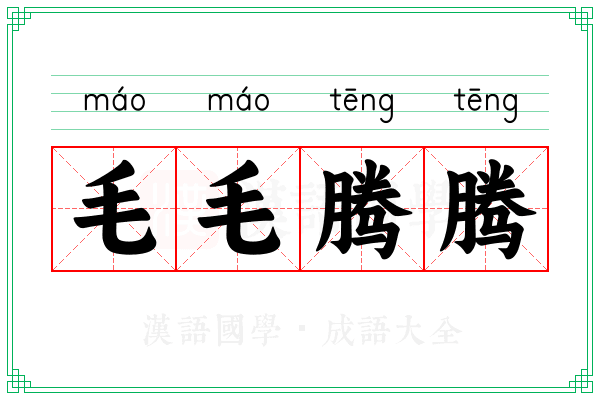 毛毛腾腾