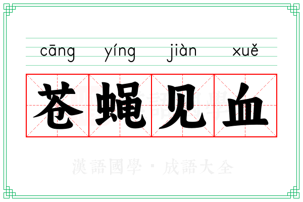 苍蝇见血 苍蝇见血