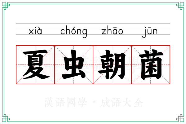 夏虫朝菌 夏虫朝菌
