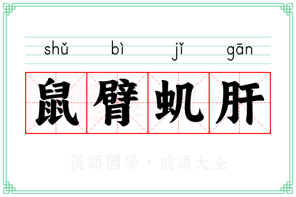 鼠臂虮肝