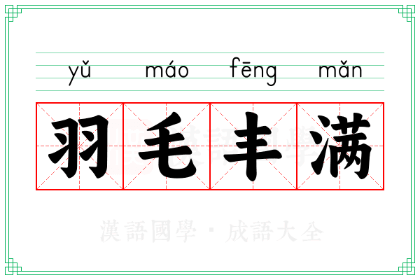 羽毛丰满