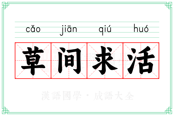 草间求活 草间求活