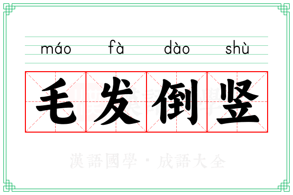 毛发倒竖 毛发倒竖