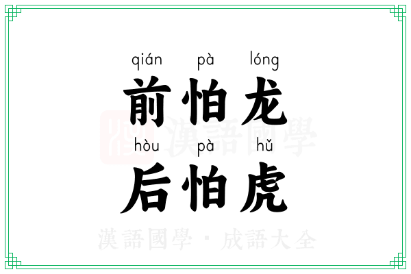前怕龙，后怕虎
