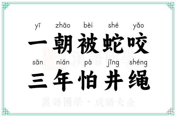 一朝被蛇咬,三年怕井绳 一朝被蛇咬,三年怕井绳