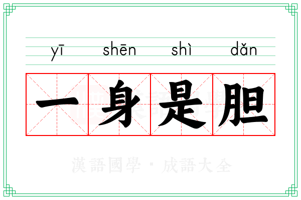 一身是胆 一身是胆