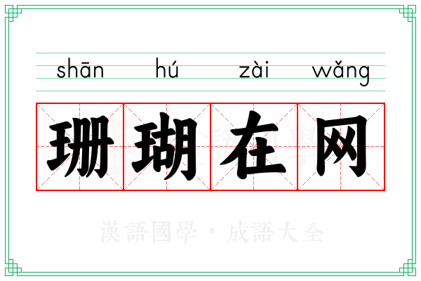 珊瑚在网 珊瑚在网