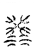 㳟(传抄·宋·汗简)