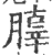 䐻(印刷字体·宋·广韵)