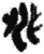 兆(简·秦·睡虎地)