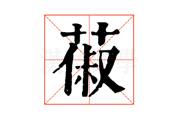 𦵦 𦵦