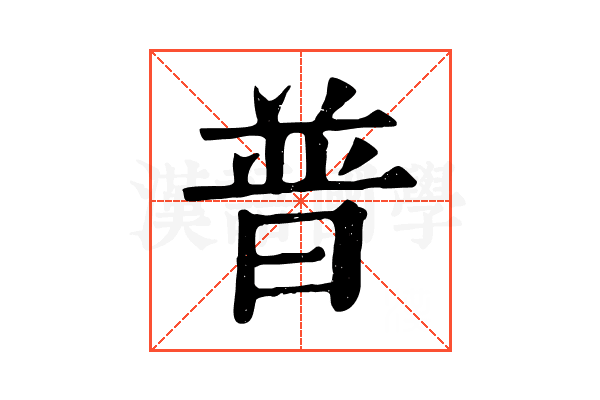普 普