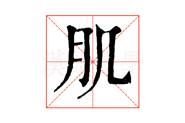 肌 肌