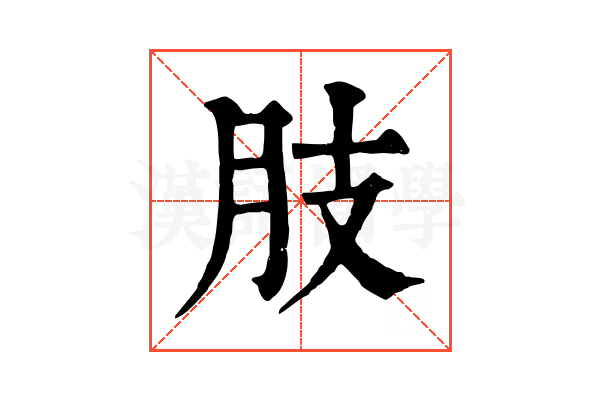 肢 肢