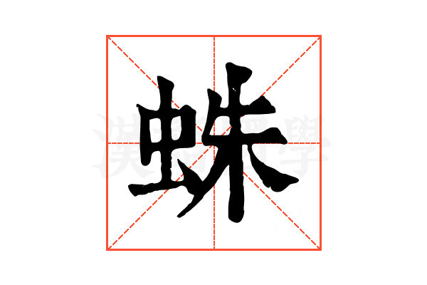蛛 蛛
