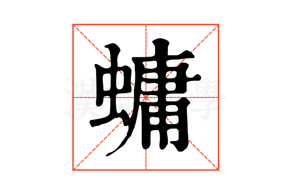 䗤 䗤