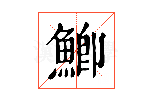 鯽 鯽