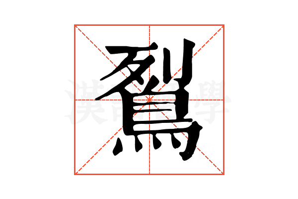 鴷 鴷