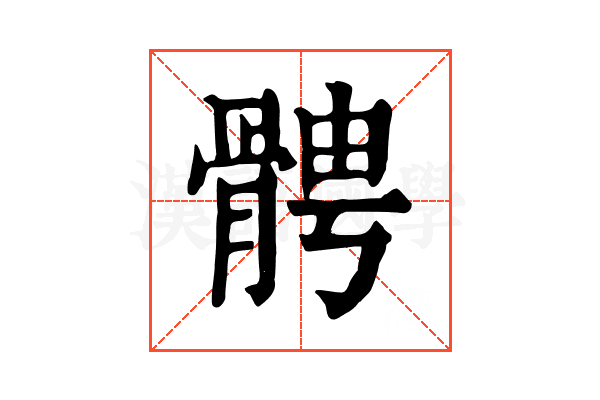 𩩍
