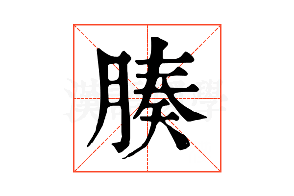 腠 腠