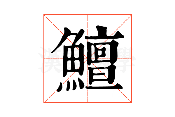 鱣